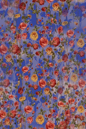 1176410-190225 12374-乡村生