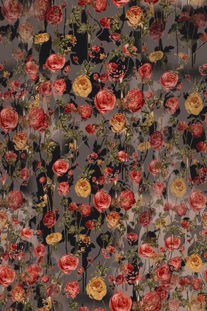 玫瑰花语印花华亿平台图片