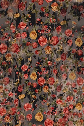 1176412-190225 12374-乡村生