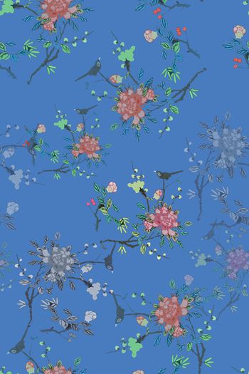 1176414-190225 12374-乡村生