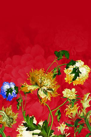 国画印花华亿平台图片