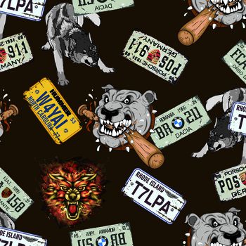 1176540-车牌狗咖