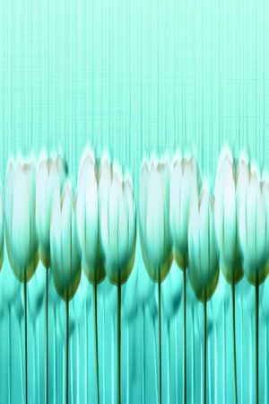 郁金香印花华亿平台图片