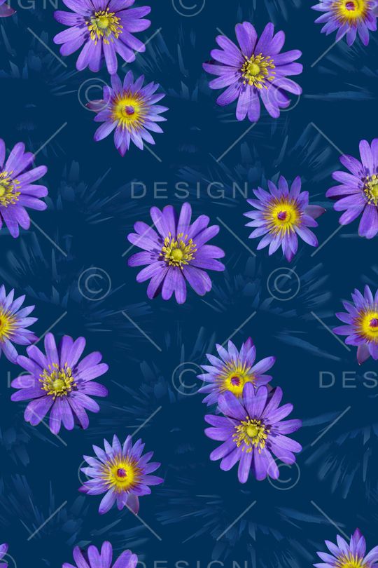 春夏华亿平台印花华亿平台图片