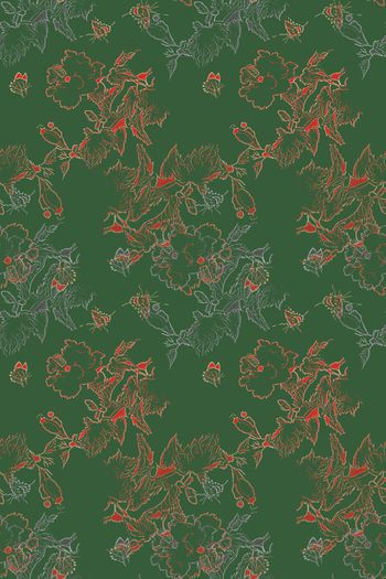 1178085-190225 12374-乡村生