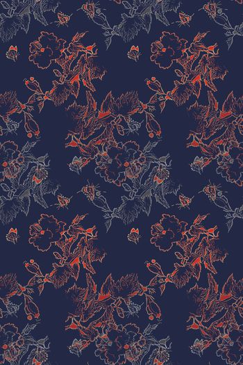 1178087-190225 12374-乡村生