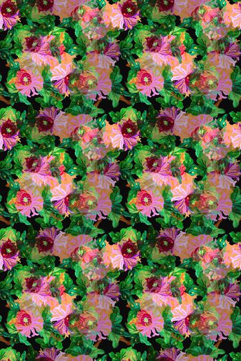 1178095-190225 12374-乡村生