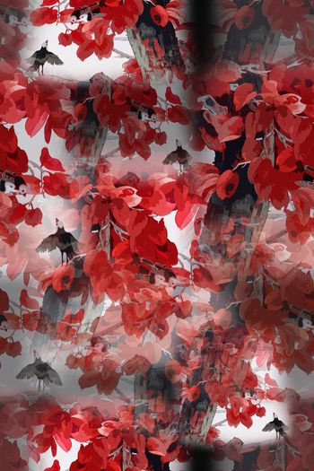 1178100-190225 12374-乡村生