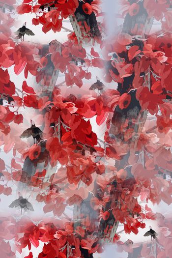 1178101-190225 12374-乡村生