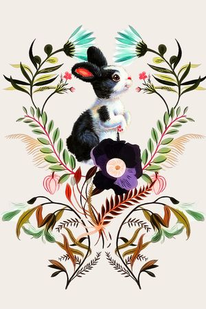 兔子印花华亿平台图片