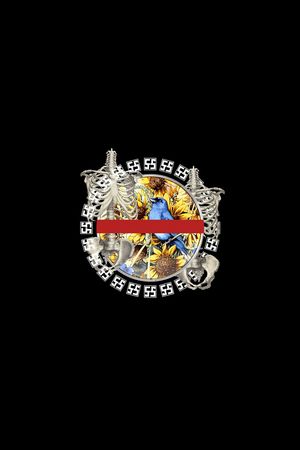 骷髅印花华亿平台图片