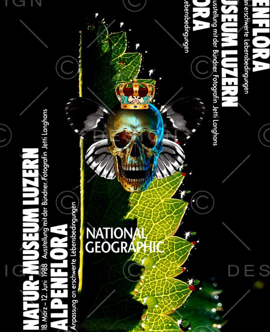 简欧印花华亿平台图片