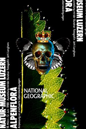 简欧印花华亿平台图片