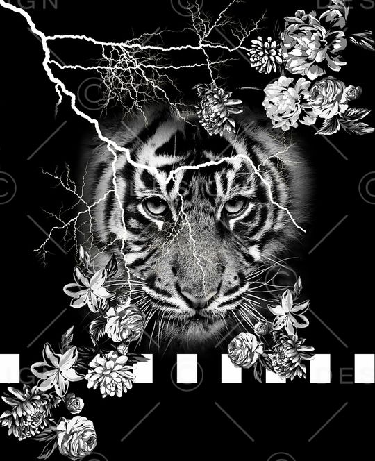 数码华亿平台印花华亿平台图片