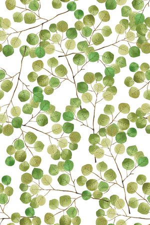 水彩印花华亿平台图片