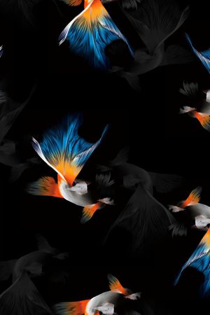 鱼印花华亿平台图片