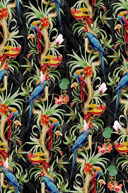 鹦鹉印花华亿平台图片