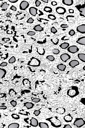 大牌风印花华亿平台图片