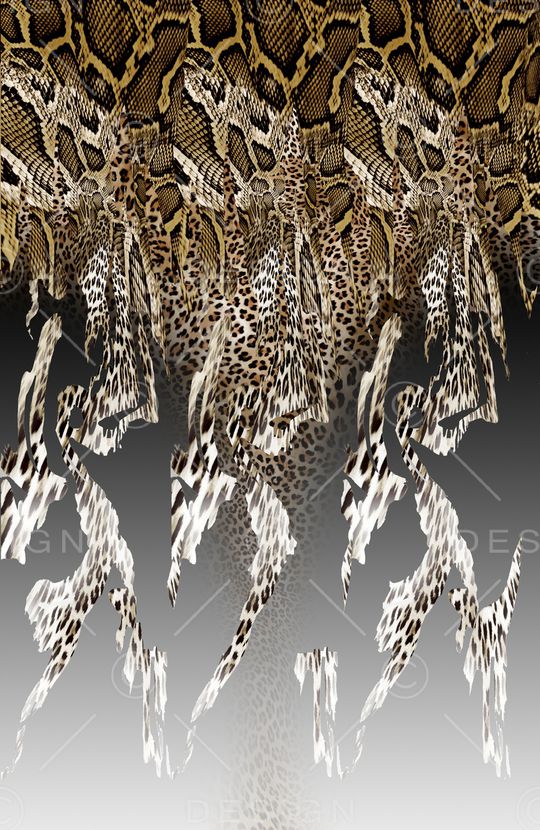 leopard印花华亿平台图片