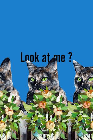 大牌风印花华亿平台图片