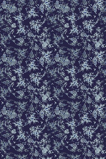 1181377-190311-zr-8-2