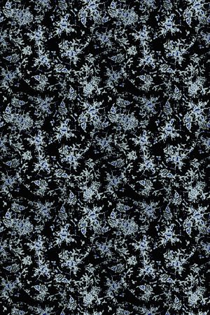 肌理图案印花华亿平台图片