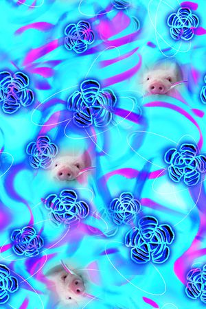 动物印花华亿平台图片