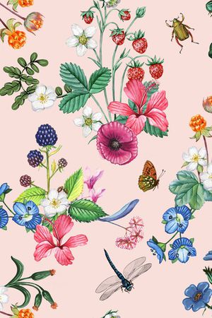 蝴蝶印花华亿平台图片