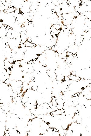 大牌风印花华亿平台图片