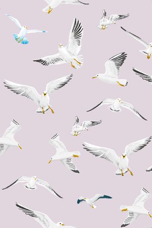 女装印花华亿平台图片