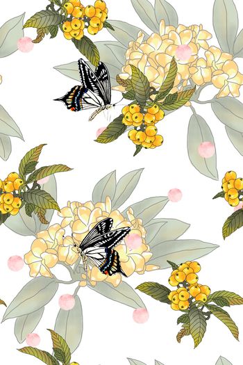 1182993-大花底纹果实蝴蝶