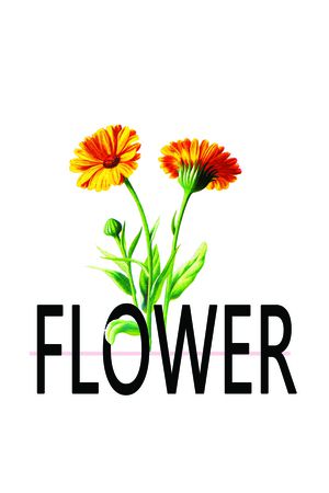 时尚印花华亿平台图片