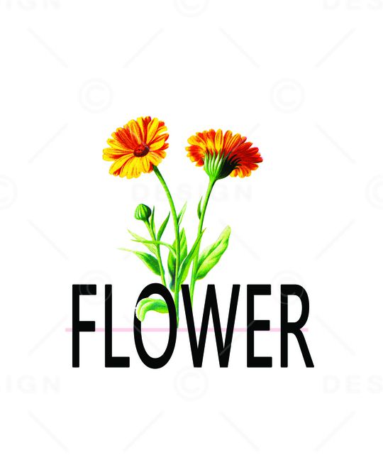 时尚印花华亿平台图片