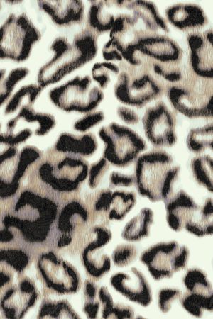 动物纹印花华亿平台图片