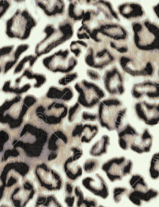 动物纹印花华亿平台图片