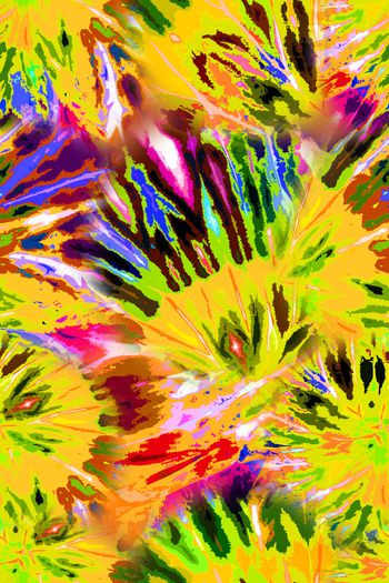 1184425-羽翼扎染