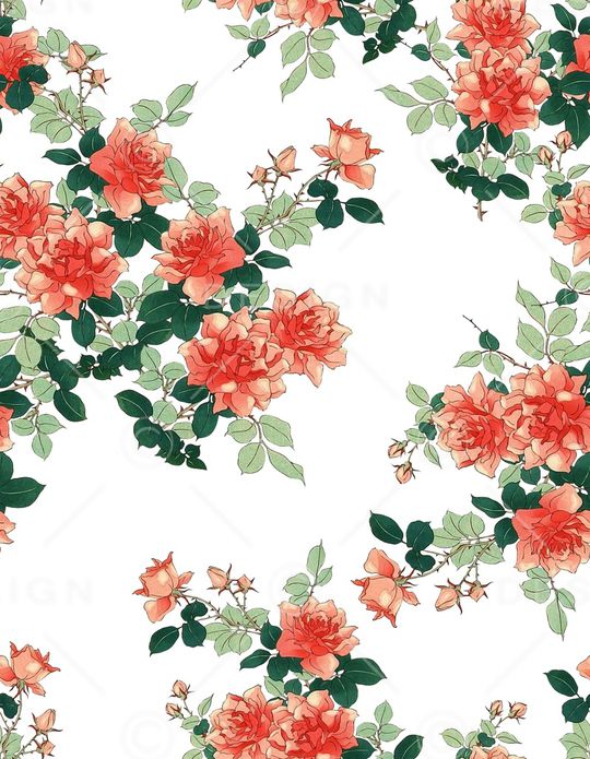 白底花印花华亿平台图片