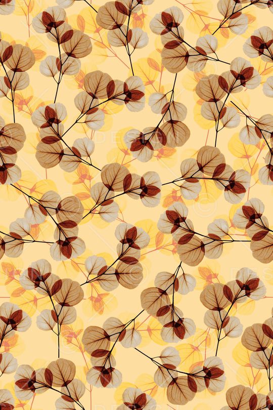 春夏华亿平台印花华亿平台图片