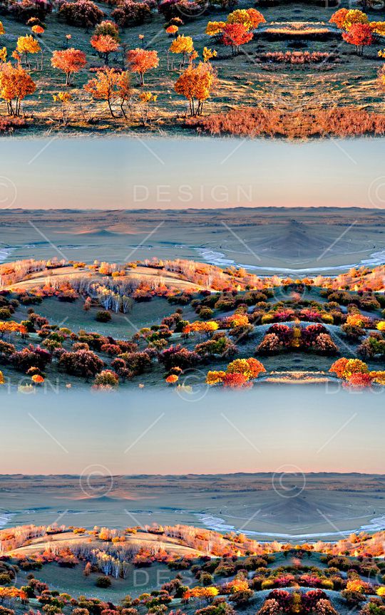 女装印花华亿平台图片