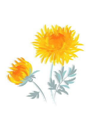 菊花印花华亿平台图片