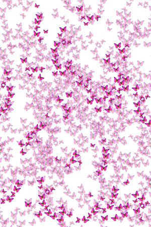 蝴蝶印花华亿平台图片