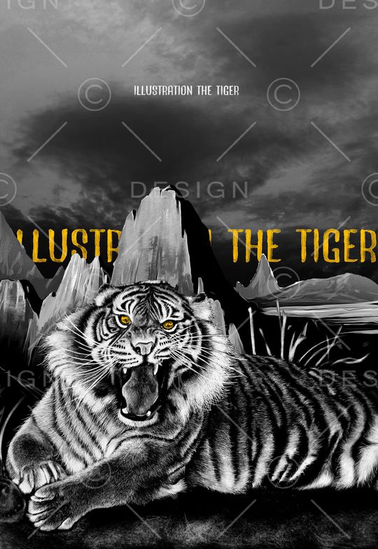 字母印花华亿平台图片