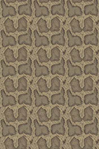 动物纹印花华亿平台图片