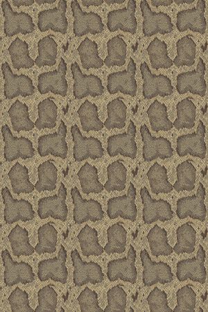 动物纹印花华亿平台图片