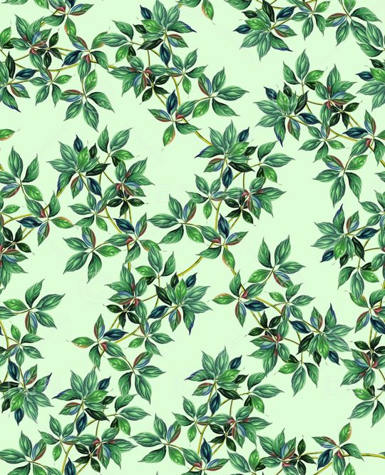 春夏华亿平台印花华亿平台图片