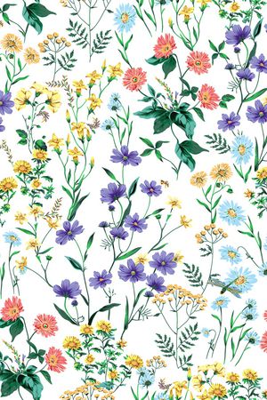 女装印花华亿平台图片