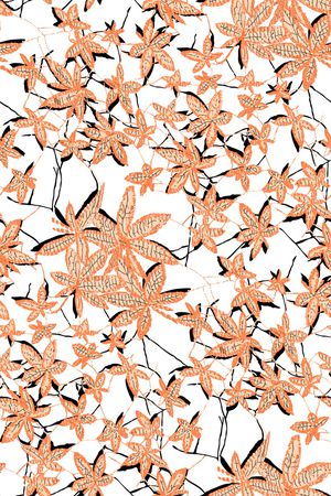 女装印花华亿平台图片