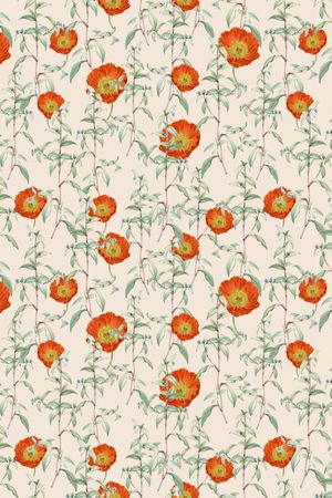 女装印花华亿平台图片