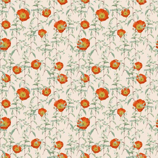 女装印花华亿平台图片