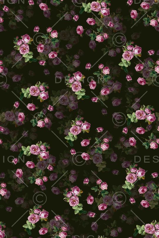 女装印花华亿平台图片